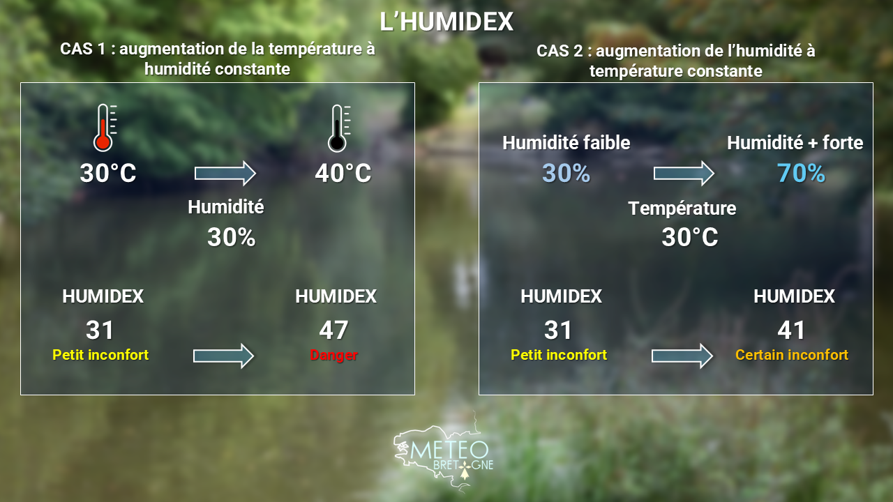 Humidex : pourquoi la chaleur est-elle si difficile à supporter durant cette canicule historique en Bretagne ?