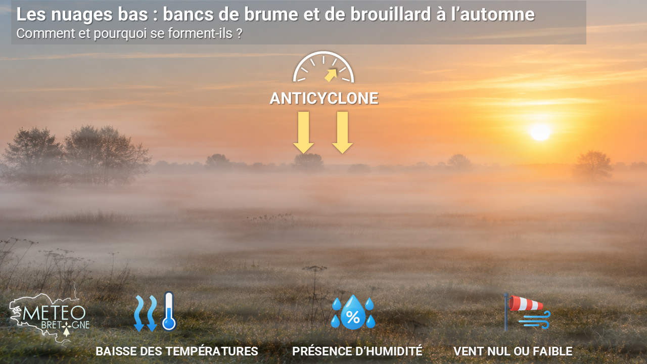 Nuages bas (brumes et brouillards) : des mécanismes particuliers selon les saisons