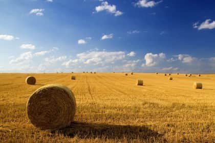 Photo représentant des bottes de paille dans un champ sous un
		ciel bleu un peu nuageux