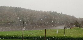 Illustration de l'actualité Les premiers flocons au sud de Saint-Brieuc (22)