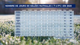 Illustration de l'actualité Des gelées rares voire absentes en 2020 !