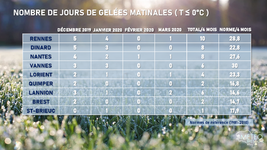Illustration de l'actualité 2020 : année la plus chaude, sans hiver en Bretagne !