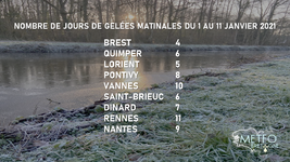 Illustration de l'actualité Fin des gelées en Bretagne ce mardi 12 janvier
