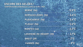 Illustration de l'actualité Des gelées quasi-généralisées ce lundi matin