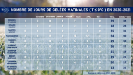Illustration de l'actualité Bilan des gelées observées entre novembre 2020 et mai 2021