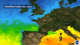 Illustration de l'actualité Un dernier bain de mer ?