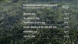 Illustration de l'actualité Première température négative de l'automne en Bretagne