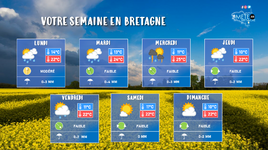 Illustration de l'actualité Votre semaine en Bretagne du 16 au 22 mai
