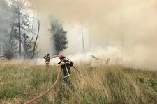 Illustration de l'actualité 25 ha partent en fumée dans la forêt de Rennes