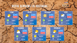 Illustration de l'actualité Votre semaine en Bretagne : la sécheresse au cœur de l'été