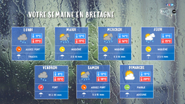 Illustration de l'actualité Votre semaine en Bretagne : vive la pluie d'automne !