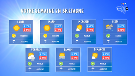 Illustration de l'actualité Votre semaine en Bretagne : le plein de lumière !