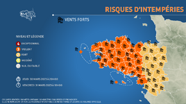 Illustration de l'actualité Vents violents sur la région