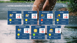 Illustration de l'actualité Votre semaine en Bretagne : l'automne ouvre un chapitre