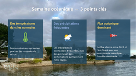 Illustration de l'actualité Votre semaine en Bretagne : Sous influence océanique.