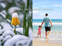 Illustration de l'actualité Le Printemps, une saison de contrastes