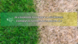Illustration de l'actualité Tension sur la ressource en eau. De l’overdose pluvieuse à la sécheresse : comment en sommes-nous arrivés là ?