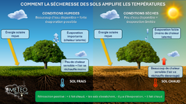Illustration de l'actualité Chaleur exceptionnelle en Bretagne la semaine dernière : quel rôle pour la sécheresse des sols ?