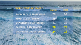 Illustration de l'actualité Nette baisse des coefficients de marée le week-end prochain !
