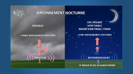 Illustration de l'actualité Les premières gelées de la saison ce mardi matin ?