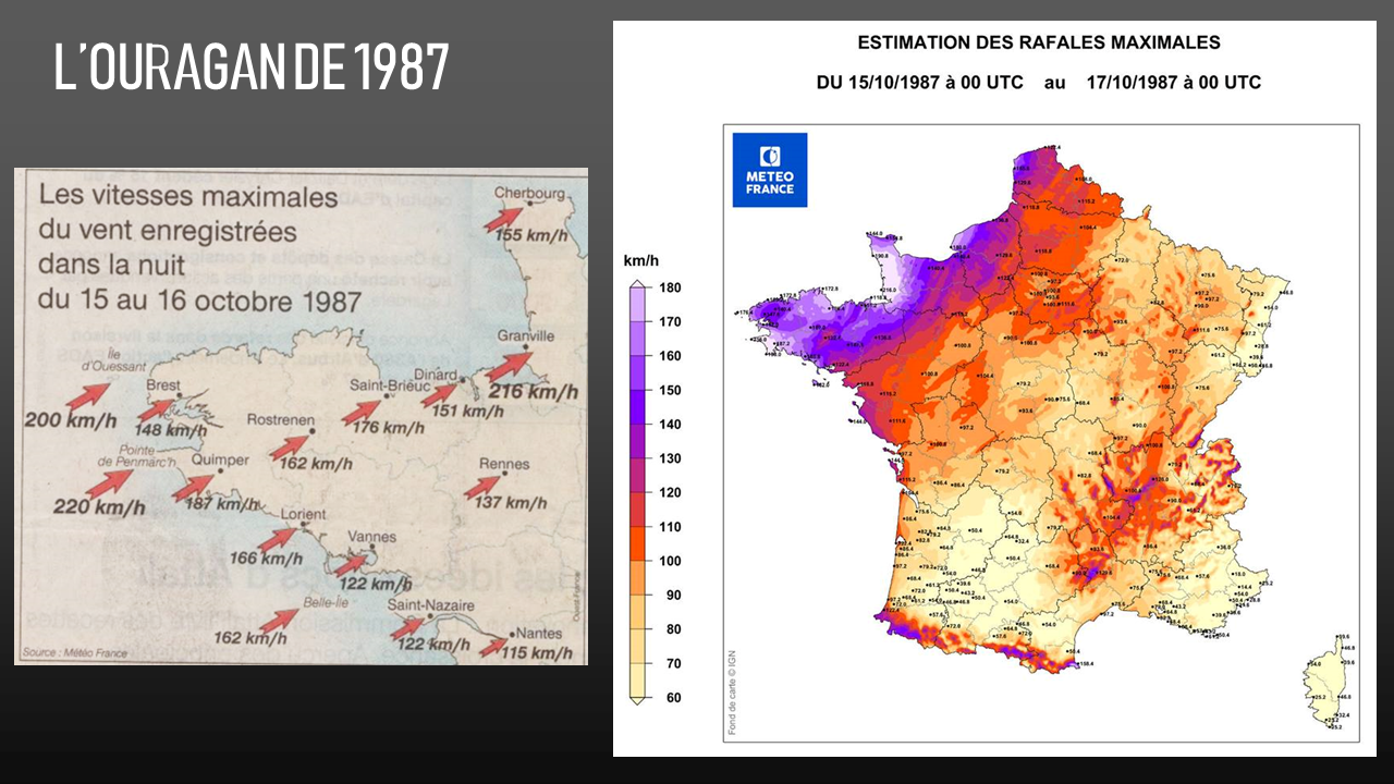 Image sans légende