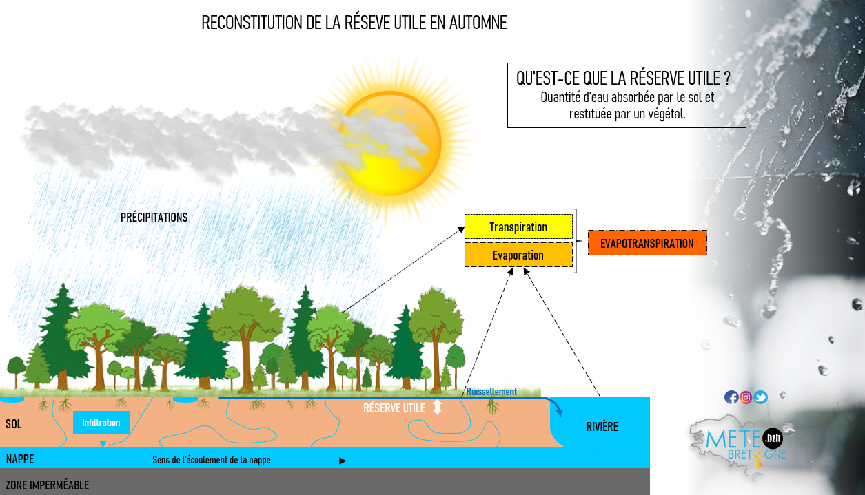 Image sans légende