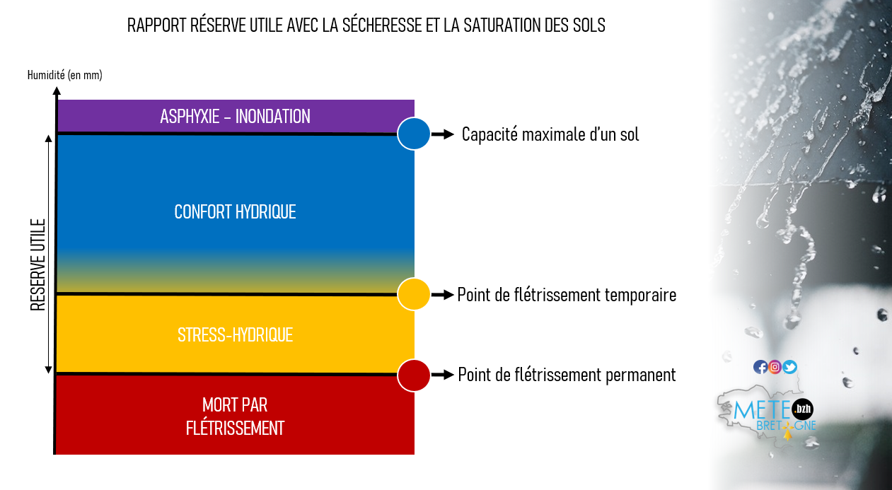 Image sans légende