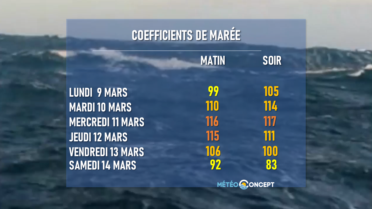PDF Le phénomène des marées PDF Télécharger Download