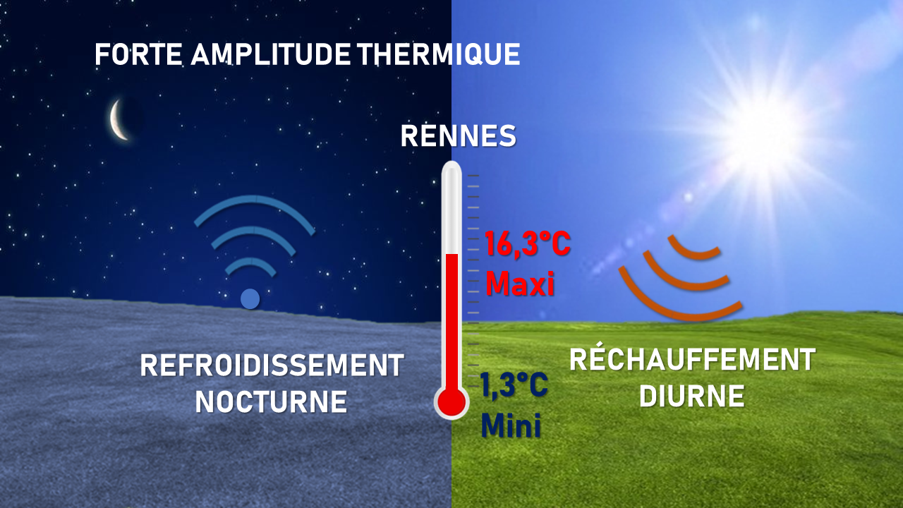 Image sans légende