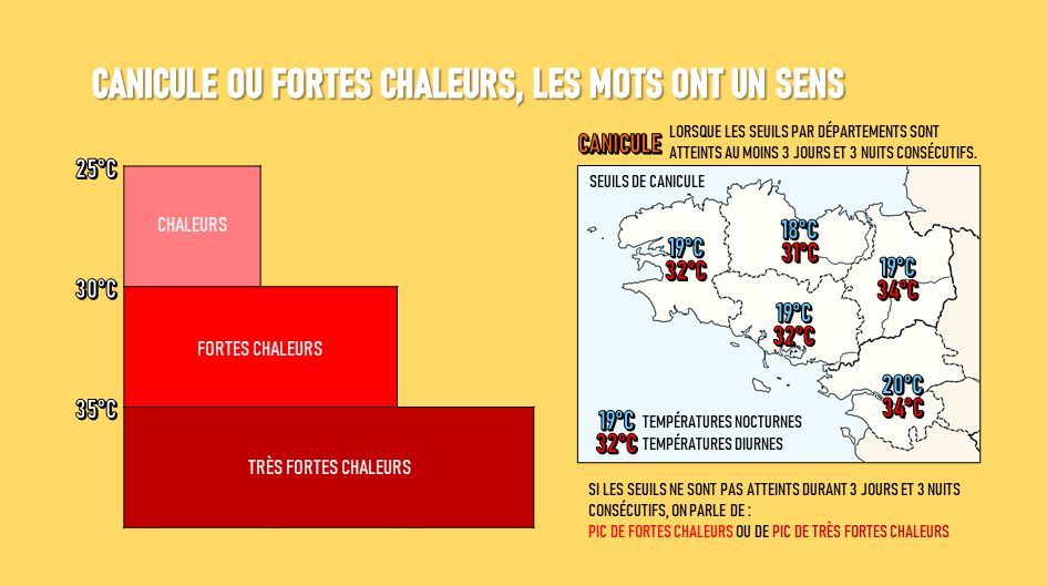 Image sans légende
