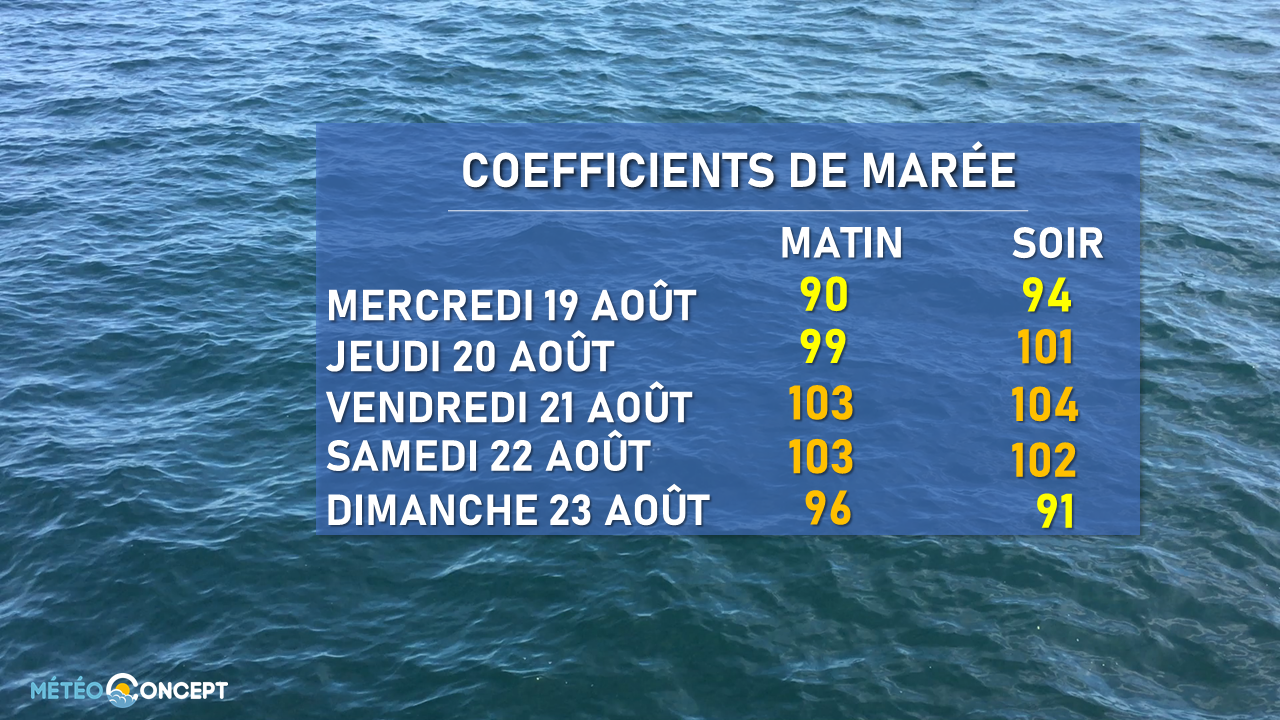 Image sans légende
