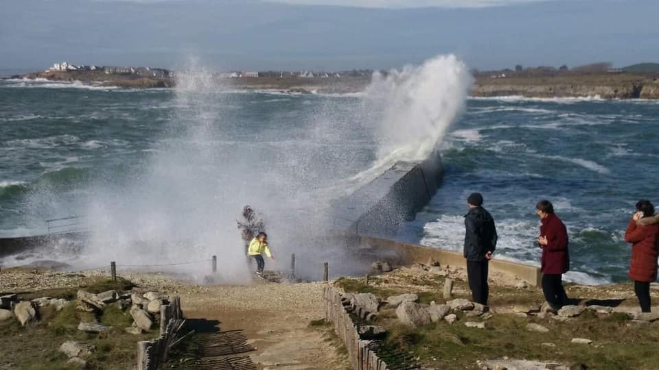 Image sans légende