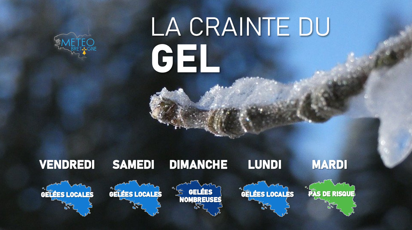 Image sans légende