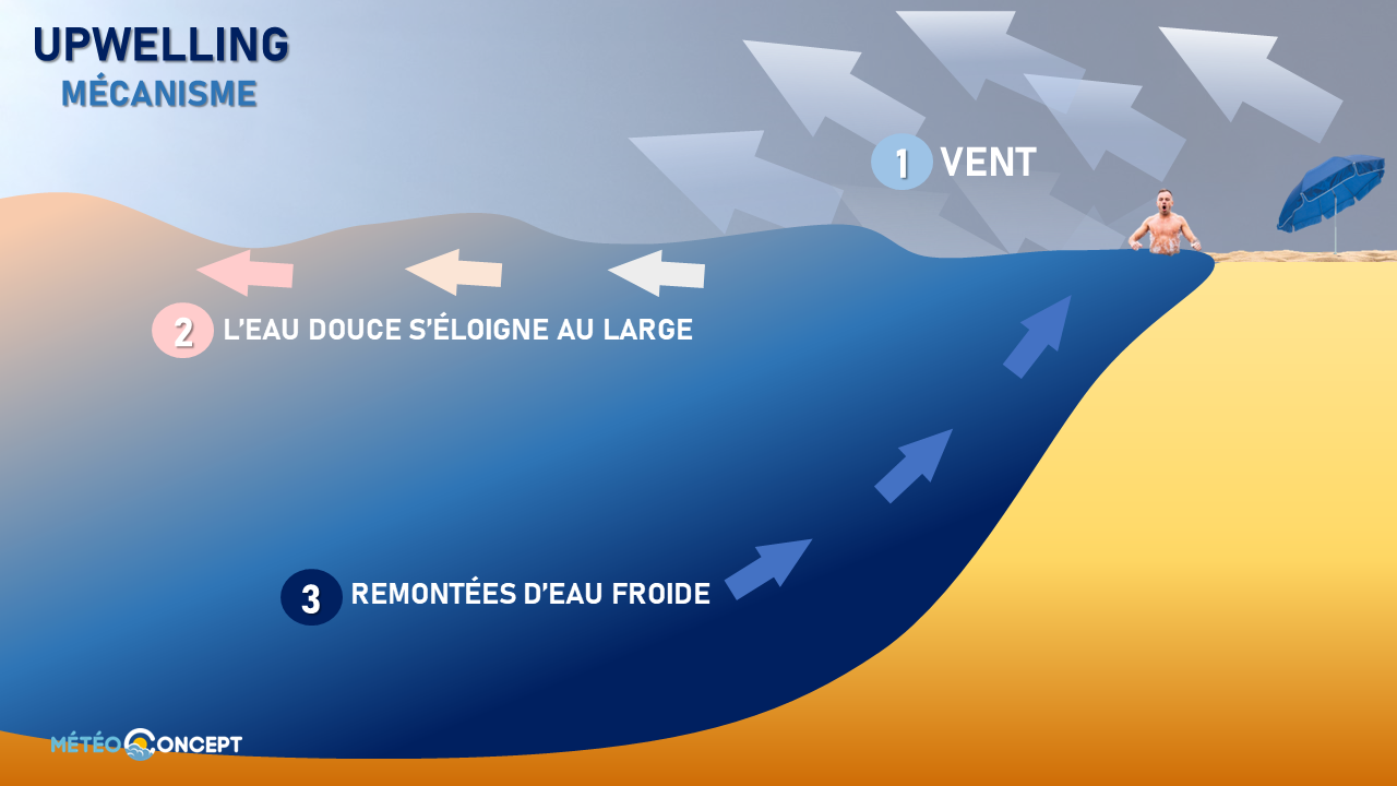 Image sans légende