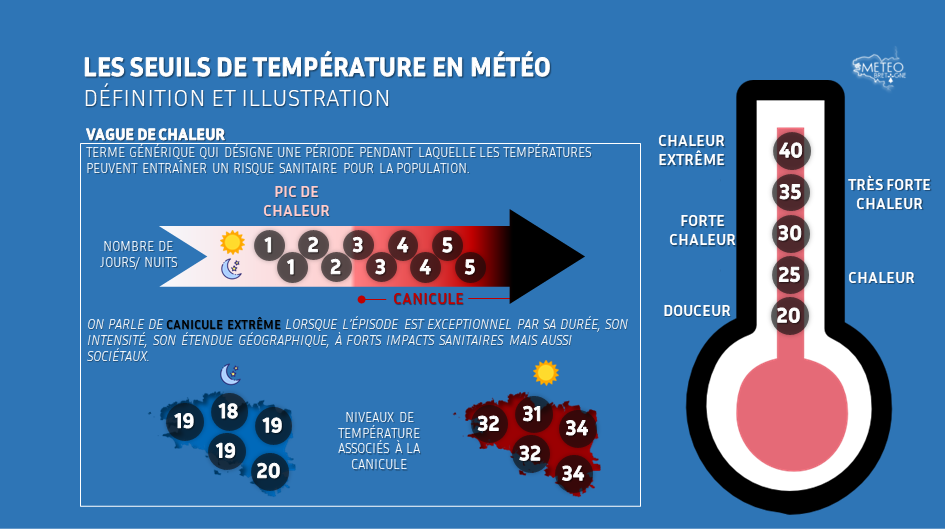 Image sans légende