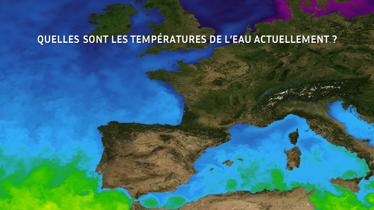 Image sans légende