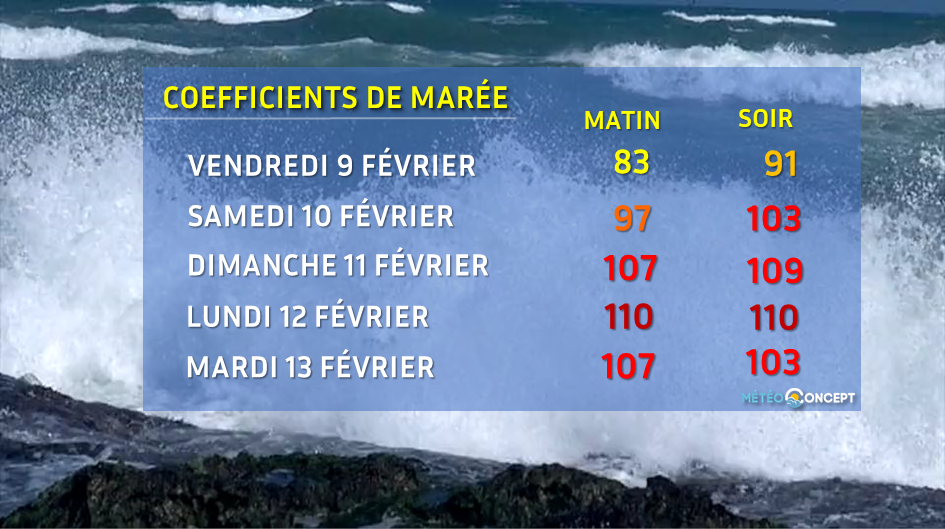Image sans légende
