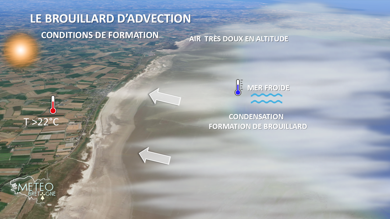 Image sans légende