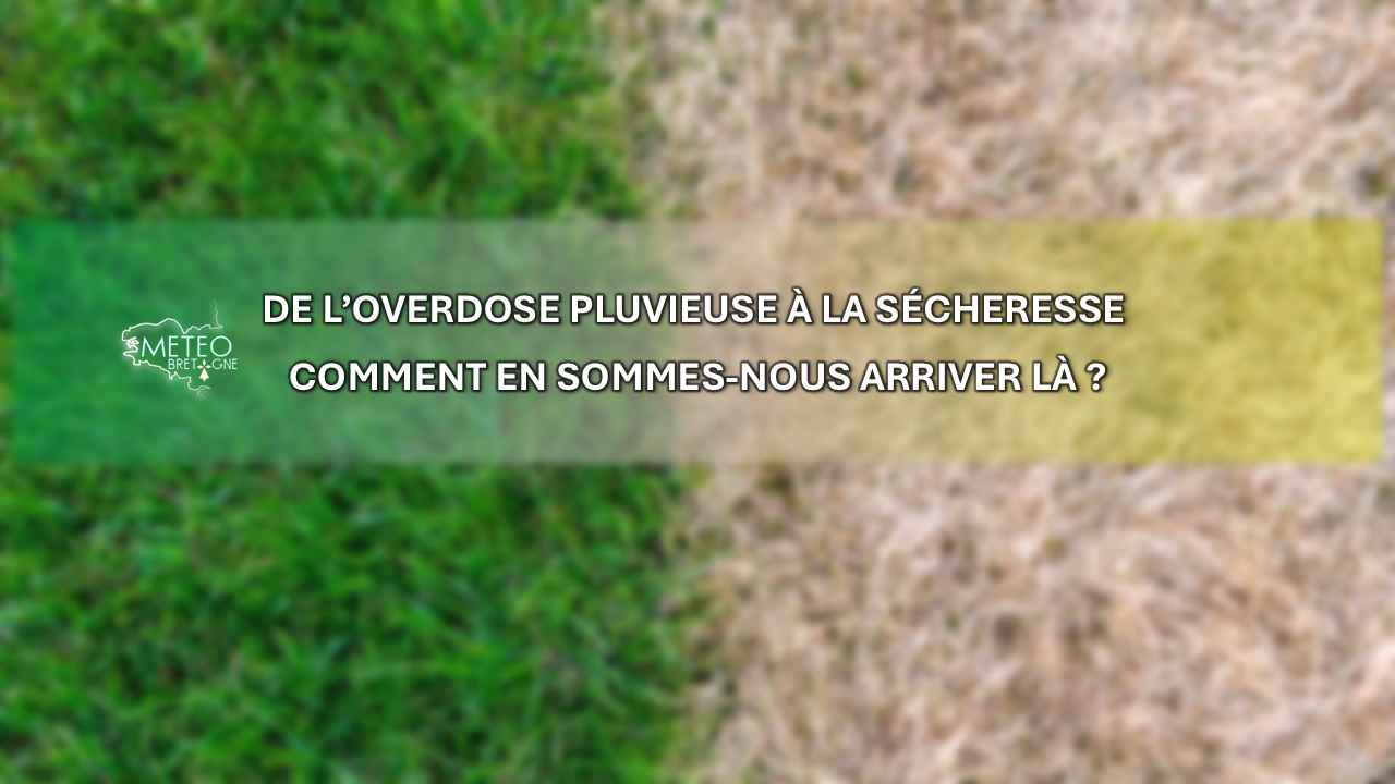 Image sans légende