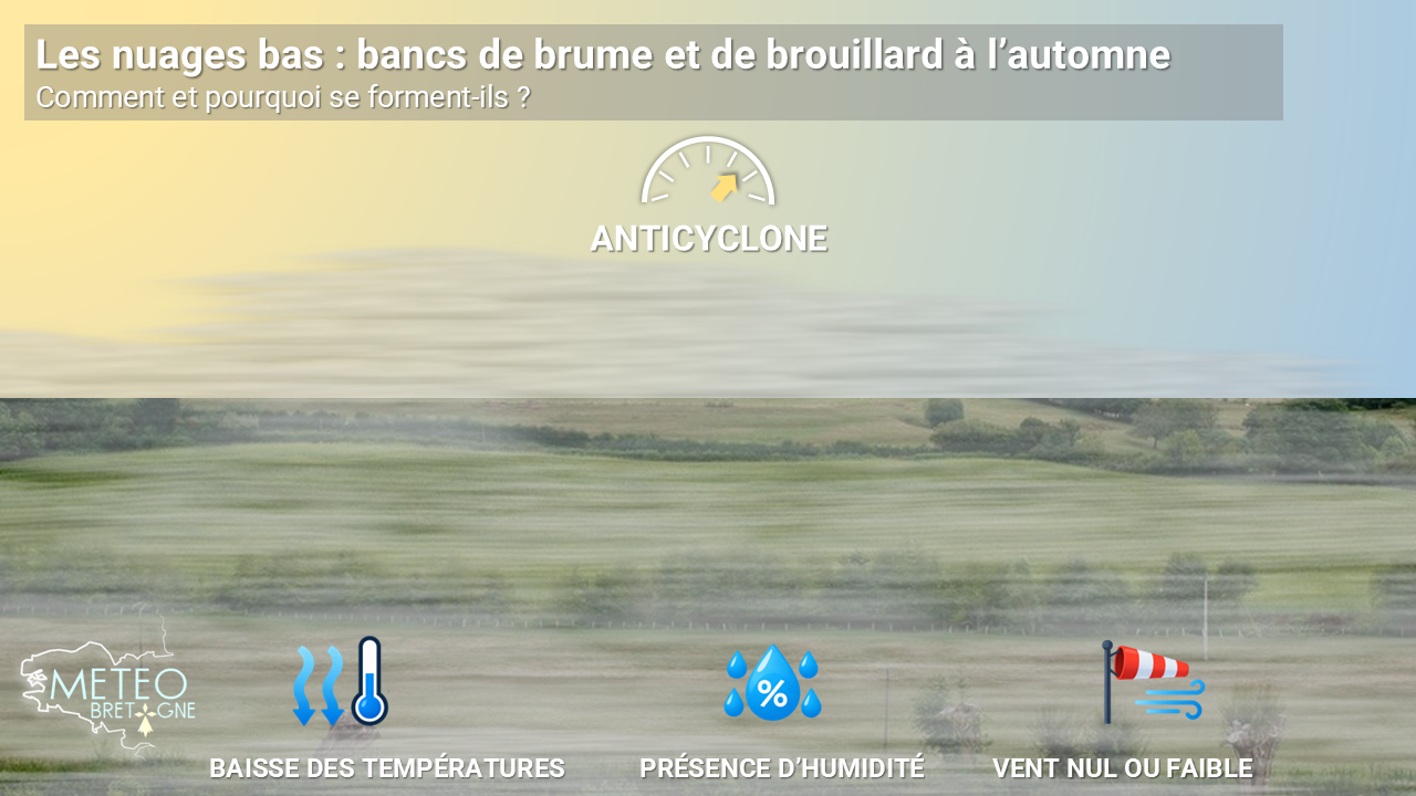 Image sans légende